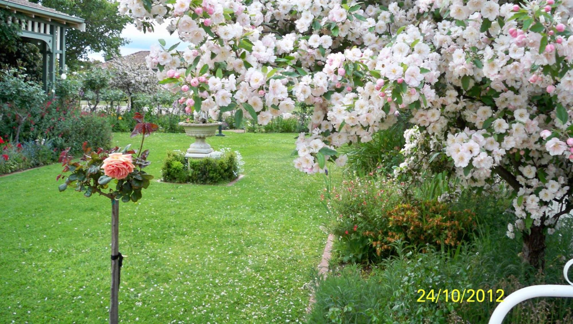 Dalfruin B&B Bairnsdale Dış mekan fotoğraf